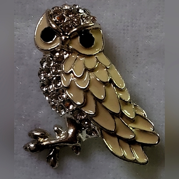 Source Unknown Jewelry - Elegant Rhinestone Cream Color Enamel Owl Brooch / Pin